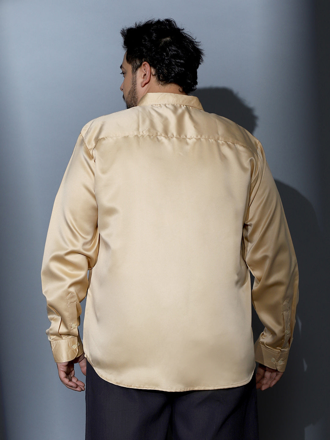 Solid-Satin Regular Shirt