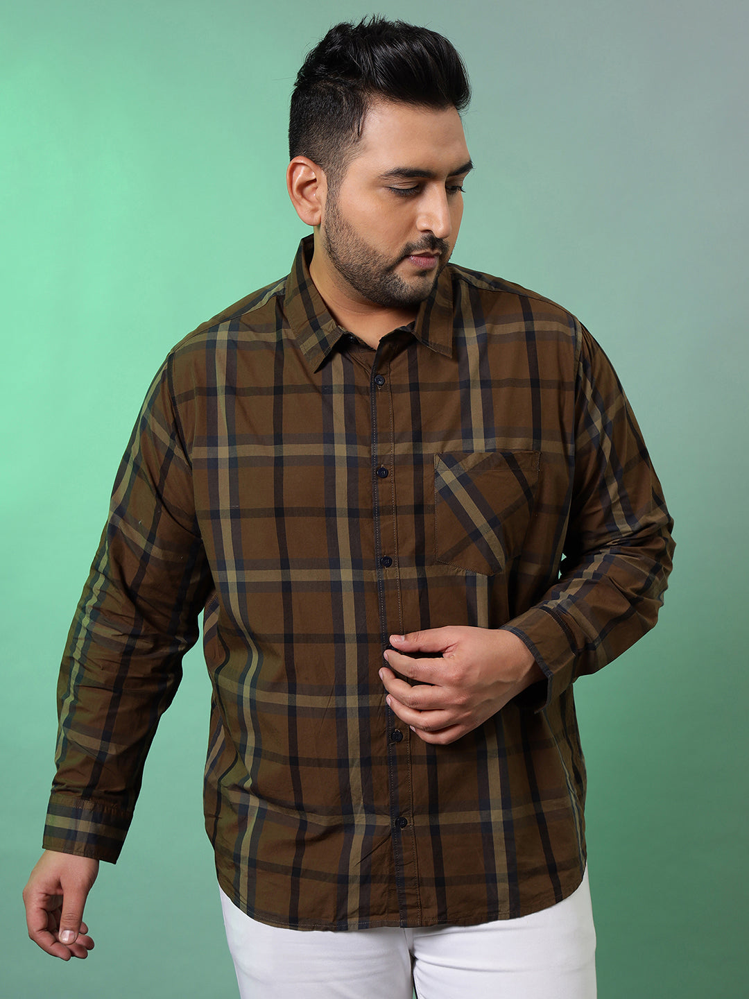 Checks Casual Shirt